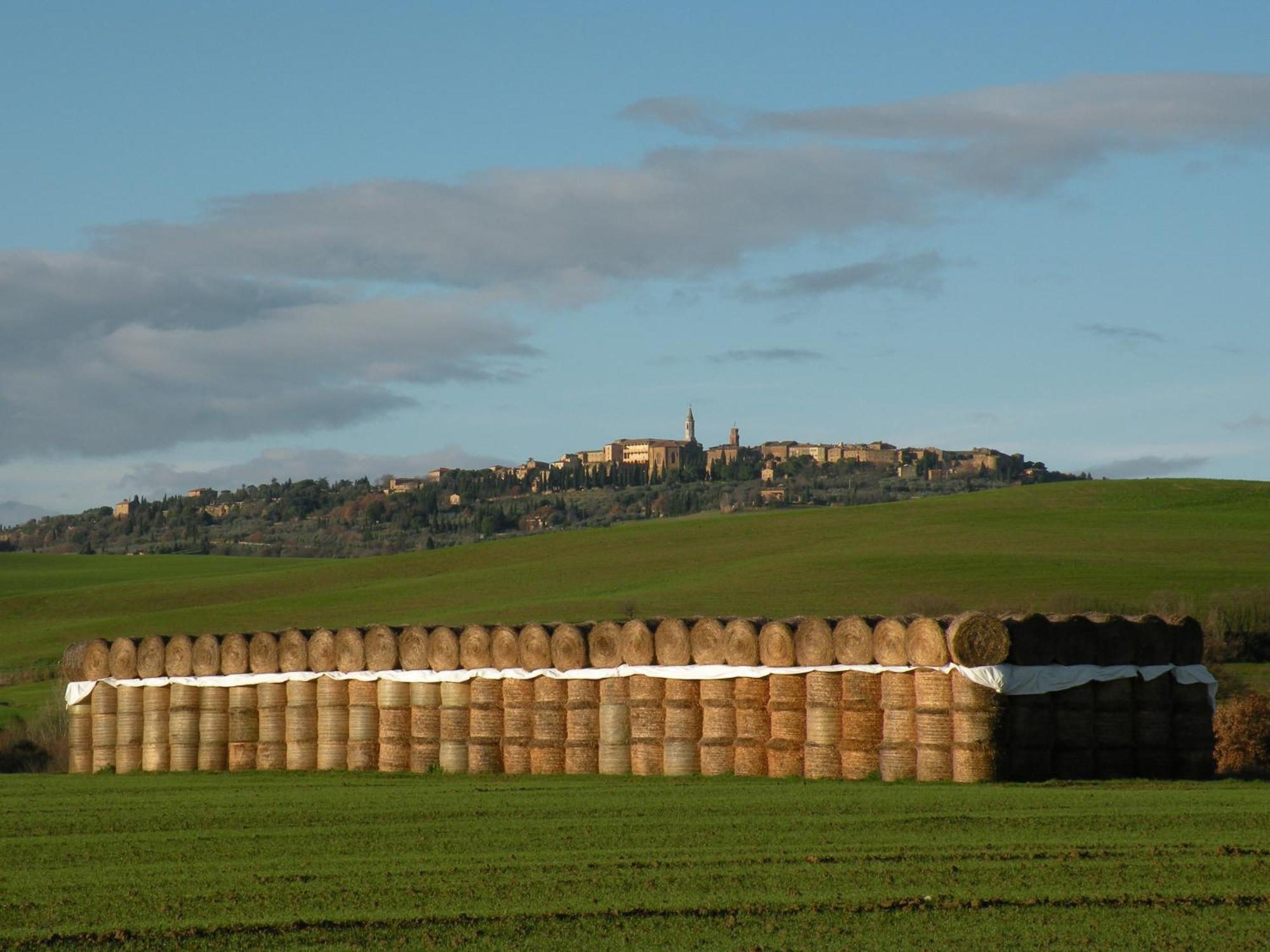 Agriturismo Bonello Villa Pienza Exterior photo