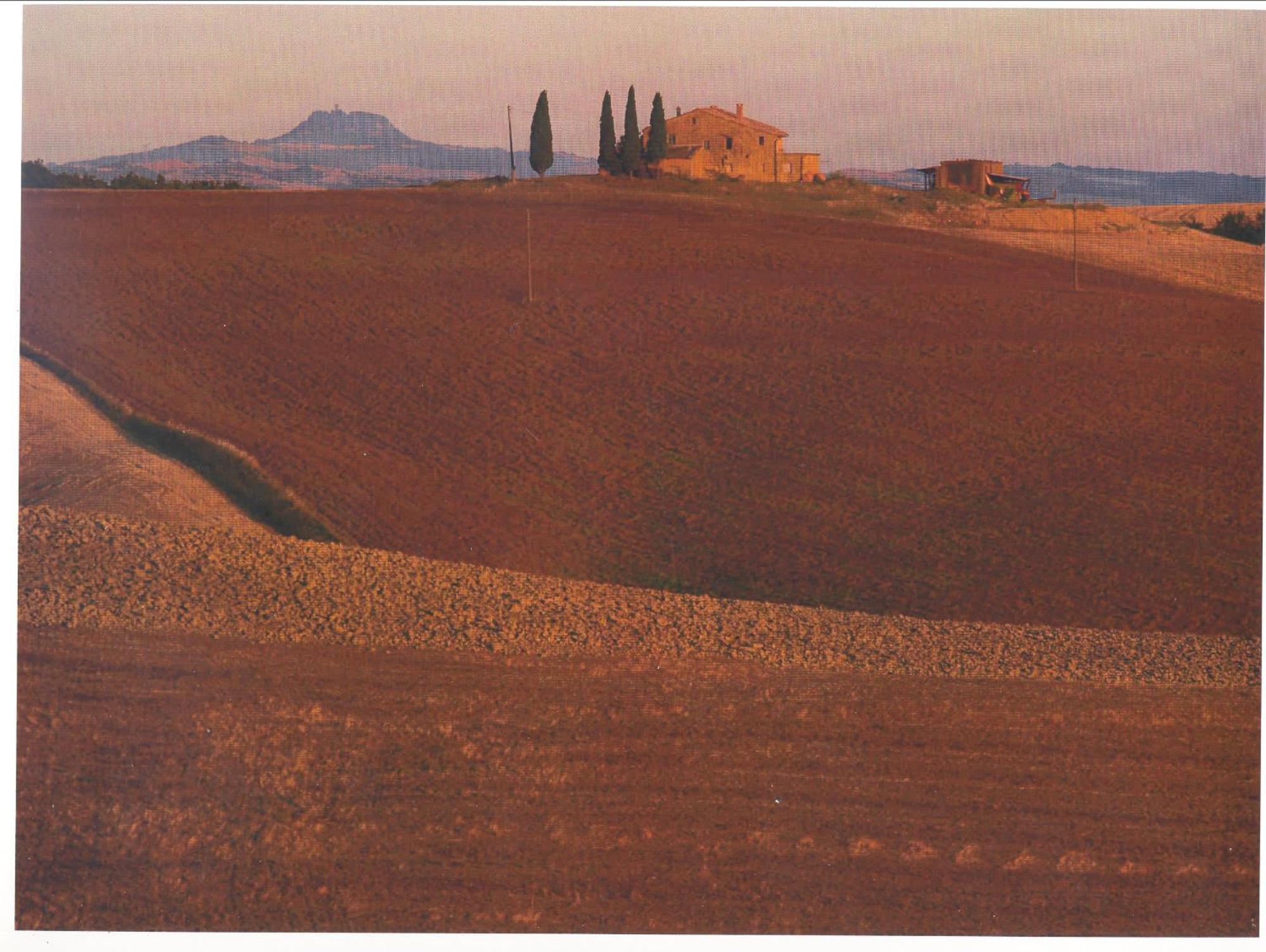 Agriturismo Bonello Villa Pienza Exterior photo