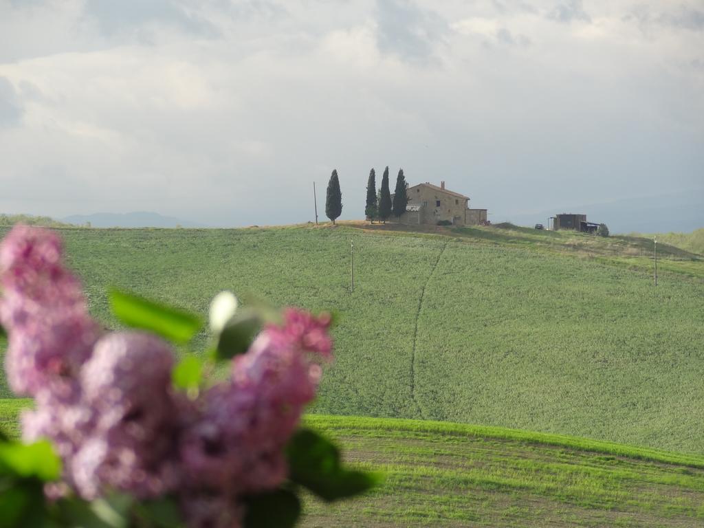 Agriturismo Bonello Villa Pienza Exterior photo